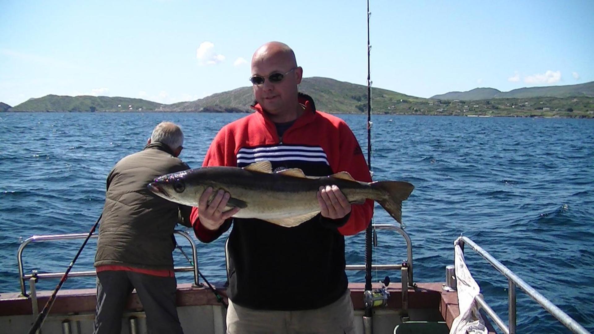 Sneem River Lodge Bed & Breakfast Luaran gambar
